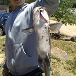 Ethan Ray Michael Thiels - @ethanthiels - Instagram
