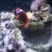 Ethan Thistle - Facebook