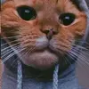ethan thomason - @etpcs - TikTok