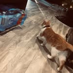 Ethan Thurman - @gamer_ethan2009 - Instagram