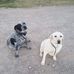 Ethan Tighe - Facebook