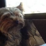 @ethan_tomlinson - Instagram