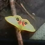 Ethan Tooley - @ethan.tooley.92 - Instagram