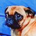Ethan Towns - Facebook