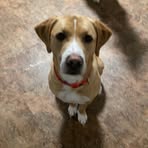 Ethan Trapp - Facebook