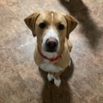 Ethan Trapp - @ethan_trapp06 - Instagram