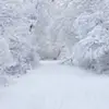 ethantravers211 - @ethantravers211 - TikTok