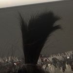 Ethan Trieu - @ethan_tryeue - Instagram