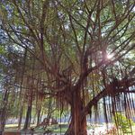 Ethan - @ethan_tsao_om - Instagram