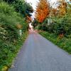 Ethan Tully - @ethan.tully - TikTok