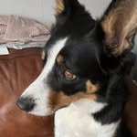 Ethan Tunstall - @tunstall_ethan - Instagram