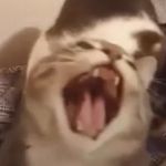 Ethan Tuttle - @ethan.tuttle200 - Instagram