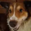 Ethan Tuttle - @ethan8881 - TikTok