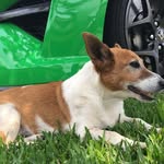Ethan_Buttifant - @ethan_buttifant - Instagram