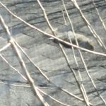 Ethan van dyke - @ethan200835 - Instagram