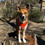 Ethan VanDyke - @ethan_van_dyke - Instagram