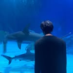 Ethan Vang - @ethan_.vang - Instagram