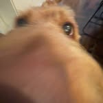 Ethan - @ethan_vasss - Instagram