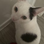 Ethan Vaughan - Facebook