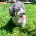 Ethan Victor - @ethanvictor52 - Instagram