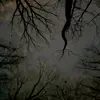 ethan vogel - @ethanvogel_ - TikTok