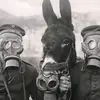 Ethan Voit490 - @im_stuck_in_chernobyl - TikTok
