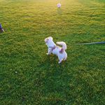 Ethan Wai - @ethan_wai - Instagram