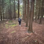 Ethan Waine - @ethanwaine_ - Instagram