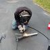 Ethan Walden - Facebook
