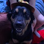 Ethan Waldo - @ethan_waldo99 - Instagram