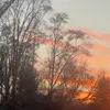 Ethan Walley - @ethan.walley2000 - TikTok