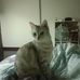 Ethan Wang - Facebook