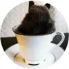 Ethan Wang - @ethan.wang25 - TikTok