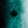 Ethan Ward - @ethanward789 - TikTok