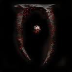 Ethan Wasylewski - Facebook