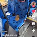 Ethan webster - @ewebster68 - Instagram