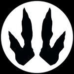 Ethan Weil Studios - @weil_studios - Instagram