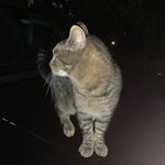 Ethan Weiland - @birdlow_ - Instagram