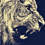 ethan weiler - @ethan_weiler_15 - Instagram