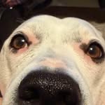 Ethan Weimer - @ethan_weimer - Instagram