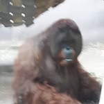 Ethan Wendt - @wendt.ethan - Instagram