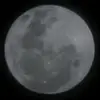 Ethan_Wendt - @ethan_b_wendt - TikTok