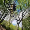 Ethan wesley@@ - @ethanwesley01 - TikTok