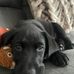 Ethan M Wheaton - Facebook
