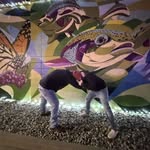 Ethan Wheaton - @wheatonethan - Instagram