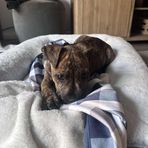 Ethan Whitaker - Facebook