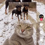 Ethan whitmore - @ethanwhitmore63 - Instagram