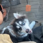 Ethan Whitmore - @ethan.whitmore12 - Instagram