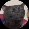 E - @ethanwildermuth - TikTok