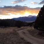 Ethan Willard - @ethanwillard.ew - Instagram